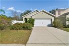 TB8470307 - 10104 HAWK STORM AVE, TAMPA, FL 33610