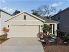 TB8476014 - 5221 HILLSIDE MEADOW PL, TAMPA, FL 33610