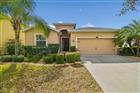 10507 AVIAN FORREST DR, RIVERVIEW, FL - MLS# TB8477215
