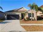 11723 WINTERSET COVE DR, RIVERVIEW, FL - MLS# TB8477889
