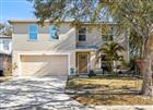 13951 NOBLE PARK DR, ODESSA, FL - MLS# TB8480007