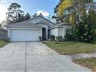 TB8482581 - 15712 CEDAR ELM TER, LAND O LAKES, FL 34638