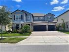 TB8483645 - 18783 BIRCHWOOD GROVES DR, LUTZ, FL 33558