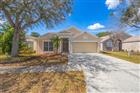 12526 DAWN VISTA DR, RIVERVIEW, FL - MLS# TB8485062