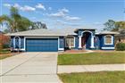 11017 AUDIE BROOK DR, SPRING HILL, FL - MLS# TB8485714