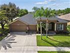 17906 SPARROWS NEST DR, LUTZ, FL - MLS# TB8487067