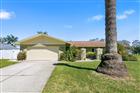 1680 CINNAMON LN, DUNEDIN, FL - MLS# TB8489178