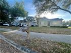 301 S AUDUBON. AVE, TAMPA, FL - MLS# TB8490790
