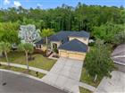 TB8491529 - 16750 IVY LAKE DR, ODESSA, FL 33556