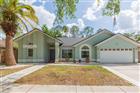 TB8491949 - 9313 ROCKROSE DR, TAMPA, FL 33647