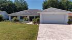 10408 RECLINATA LN, TAMPA, FL - MLS# TB8493878
