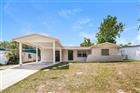 4117 E OKARA RD, TAMPA, FL - MLS# TB8494233