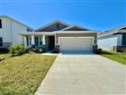 10959 COTTON VALE PL, SAN ANTONIO, FL - MLS# TB8494739