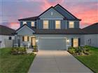 11232 BRAM BAY CT, SAN ANTONIO, FL - MLS# TB8495907