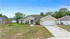 11366 RIDDLE DR, SPRING HILL, FL - MLS# TB8499533