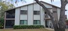 515 TABOR CT #C, SAFETY HARBOR, FL - MLS# TB8499922