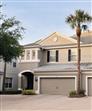 TB8501538 - 11107 GREEN PARK CIR, TAMPA, FL 33626