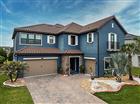 29527 PICANA LN, WESLEY CHAPEL, FL - MLS# TB8501901
