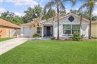 TB8502073 - 421 BENSON ST, VALRICO, FL 33594