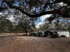 12212 NE 238TH TER, SALT SPRINGS, FL - MLS# TB8502272