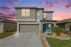 882 OLIVE CONCH ST, RUSKIN, FL - MLS# TB8502767