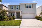 33546 DARLEY DALE TRL, WESLEY CHAPEL, FL - MLS# TB8503058