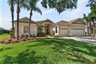 TB8503127 - 5218 TWIN CREEKS DRIVE, VALRICO, FL 33596