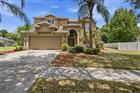 TB8503641 - 2631 QUEEN ALBERTA DR, VALRICO, FL 33596