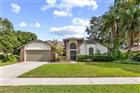 2315 EAGLE BLUFF DR, VALRICO, FL - MLS# TB8503746