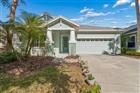 20133 HERON CROSSING DR, TAMPA, FL - MLS# TB8503823