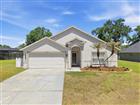 23450 CHERBOURG LOOP, LAND O LAKES, FL - MLS# TB8505026