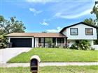 TB8505033 - 16513 SILVERHILL DR, TAMPA, FL 33624