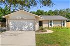3298 ORCHARD DR, PALM HARBOR, FL - MLS# TB8505143