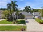 TB8505271 - 6512 STEEPLECHASE DR, TAMPA, FL 33625