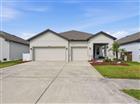 31068 JAZZ LEAF PL, SAN ANTONIO, FL - MLS# TB8505283
