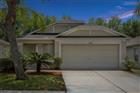 TB8505474 - 25932 TERRAWOOD LOOP, LAND O LAKES, FL 34639