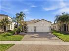 30423 TRISTANIA CT, WESLEY CHAPEL, FL - MLS# TB8505571