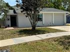 TB8506010 - 10617 FAIRFIELD VILLAGE DR, TAMPA, FL 33624