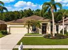 29520 FOREST GLEN DR, WESLEY CHAPEL, FL - MLS# TB8506018