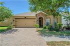 1667 NATURE VIEW DR, LUTZ, FL - MLS# TB8506591