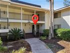 29300 BAY HOLLOW DR #3257, WESLEY CHAPEL, FL - MLS# TB8506634