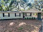 4420 BAILEY RD, MULBERRY, FL - MLS# TB8506636