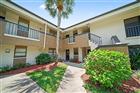 2700 NEBRASKA AVE #2-205, PALM HARBOR, FL - MLS# TB8506955