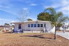 8012 MONTROSE AVE, BROOKSVILLE, FL - MLS# TB8506981