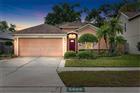 5606 PADDOCK TRAIL DR, TAMPA, FL - MLS# TB8507051