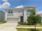 TB8507104 - 33409 FIELD MAPLE LOOP, WESLEY CHAPEL, FL 33545