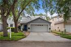 TB8507901 - 453 SUMMER SAILS DR, VALRICO, FL 33594