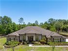 TB8508179 - 8224 SPRING FOREST LN, WESLEY CHAPEL, FL 33544