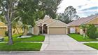TB8508537 - 19310 GARDEN QUILT CIR, LUTZ, FL 33558
