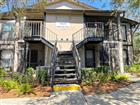 4033 DREAM OAK PL #101, TAMPA, FL - MLS# TB8508970